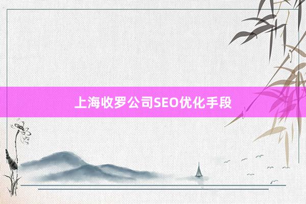 上海收罗公司SEO优化手段